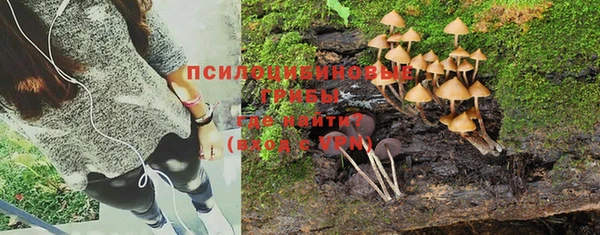 ГАЛЛЮЦИНОГЕННЫЕ ГРИБЫ Балабаново