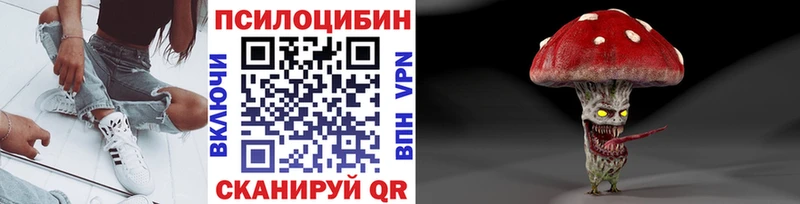 Псилоцибиновые грибы мицелий Ахтырский